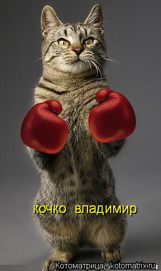 кочко владимир кочко владимир... Котоматрица: кочко владимир кочко владимир