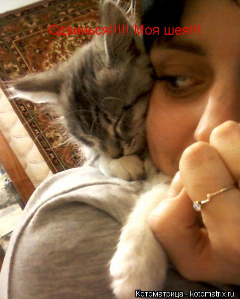 Котоматрица: Сдвинься!!!!! Моя шея!!!