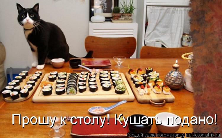 Котоматрица: Прошу к столу! Кушать подано!