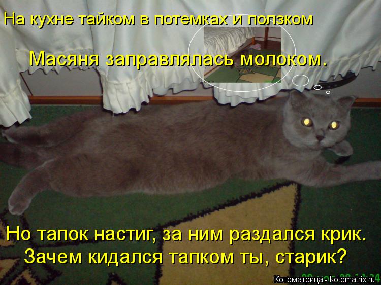 Масяня заправлялась молоком. На кухне тайком в потемках и ползком Зачем кидался тапком ты, старик? Но... Котоматрица: Масяня заправлялась молоком. На кухне тайком в потемках и ползком Зачем кидался тапком ты, старик? Но тапок настиг, за ним раздался крик.