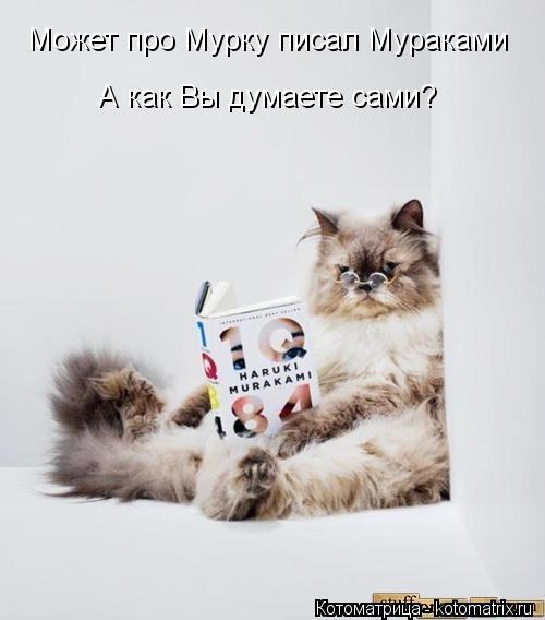 Может про Мурку писал Мураками А как Вы думаете сами?... Котоматрица: Может про Мурку писал Мураками А как Вы думаете сами?