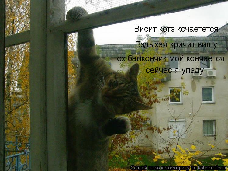 Висит котэ кочаетется Вздыхая кричит вишу ох балкончик мой кончается сейчас я упаду... Котоматрица: Висит котэ кочаетется Вздыхая кричит вишу ох балкончик мой кончается сейчас я упаду