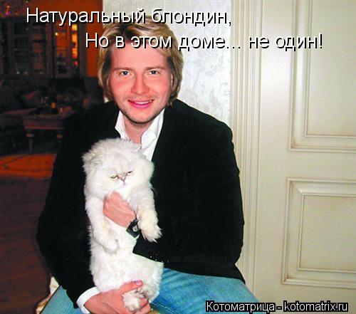 Натуральный блондин, Но в этом доме... не один!... Котоматрица: Натуральный блондин, Но в этом доме... не один!