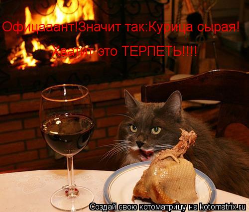 Офицааант!Значит так:Курица сырая! Хватит это ТЕРПЕТЬ!!!!... Котоматрица: Офицааант!Значит так:Курица сырая! Хватит это ТЕРПЕТЬ!!!!