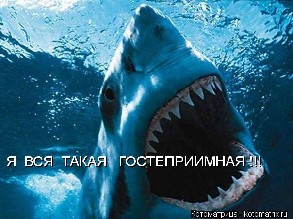 Я ВСЯ ТАКАЯ ГОСТЕПРИИМНАЯ !!!... Котоматрица: Я ВСЯ ТАКАЯ ГОСТЕПРИИМНАЯ !!!