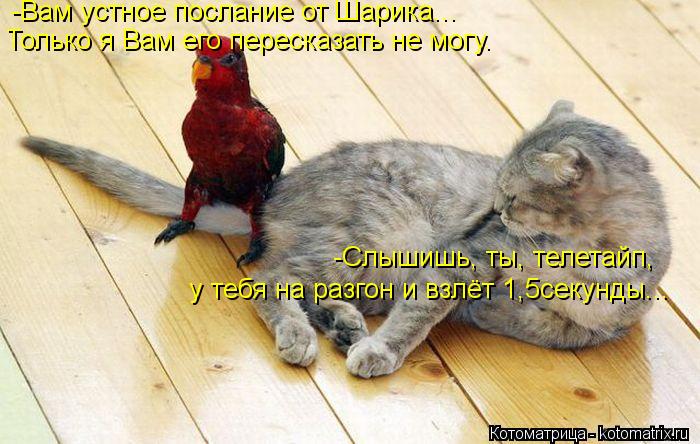-Вам устное послание от Шарика... Только я Вам его пересказать не могу. -Слышишь, ты, телетайп, у теб... Котоматрица: -Вам устное послание от Шарика... Только я Вам его пересказать не могу. -Слышишь, ты, телетайп, у тебя на разгон и взлёт 1,5секунды...