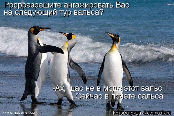 Ррррразрешите ангажировать Вас на следующий тур вальса? -Ах, щас не в моде этот вальс, Сейчас в почет... Котоматрица: Ррррразрешите ангажировать Вас на следующий тур вальса? -Ах, щас не в моде этот вальс, Сейчас в почете сальса