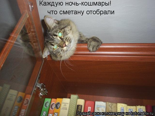 Котоматрица: Каждую ночь-кошмары! что сметану отобрали