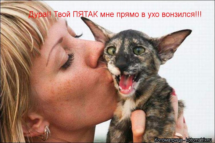 Дура!! Твой ПЯТАК мне прямо в ухо вонзился!!!... Котоматрица: Дура!! Твой ПЯТАК мне прямо в ухо вонзился!!!