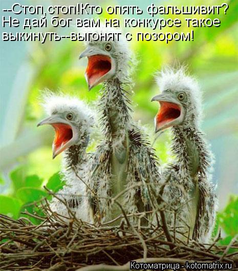 --Стоп,стоп!Кто опять фальшивит? Не дай бог вам на конкурсе такое выкинуть--выгонят с позором!... Котоматрица: --Стоп,стоп!Кто опять фальшивит? Не дай бог вам на конкурсе такое выкинуть--выгонят с позором!
