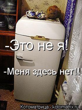 -Это не я! -Меня здесь нет!!!... Котоматрица: -Это не я! -Меня здесь нет!!!