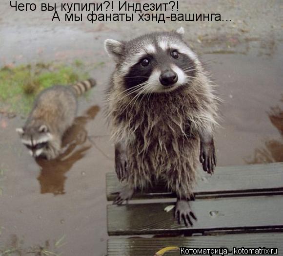 Чего вы купили?! Индезит?! А мы фанаты хэнд-вашинга...... Котоматрица: Чего вы купили?! Индезит?! А мы фанаты хэнд-вашинга...