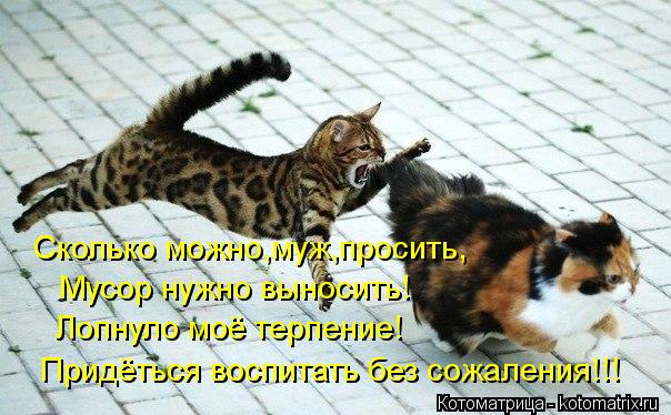 Сколько можно,муж,просить, Мусор нужно выносить! Лопнуло моё терпение! Придёться воспитать без сожале... Котоматрица: Сколько можно,муж,просить, Мусор нужно выносить! Лопнуло моё терпение! Придёться воспитать без сожаления!!!