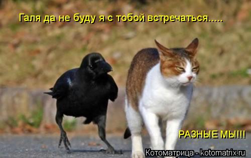Галя да не буду я с тобой встречаться..... РАЗНЫЕ МЫ!!!... Котоматрица: Галя да не буду я с тобой встречаться..... РАЗНЫЕ МЫ!!!