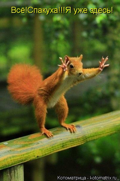 Всё!Спакуха!!!Я уже здесь!... Котоматрица: Всё!Спакуха!!!Я уже здесь!