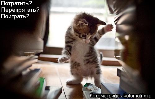 Потратить? Перепрятать? Поиграть?... Котоматрица: Потратить? Перепрятать? Поиграть?