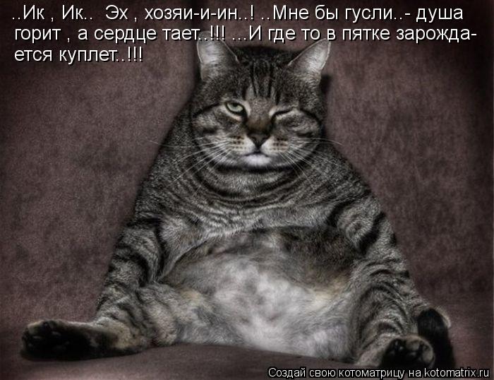 ..Ик , Ик.. Эх , хозяи-и-ин..! ..Мне бы гусли..- душа горит , а сердце тает..!!! ...И где то в пятк... Котоматрица: ..Ик , Ик.. Эх , хозяи-и-ин..! ..Мне бы гусли..- душа горит , а сердце тает..!!! ...И где то в пятке зарожда- ется куплет..!!!