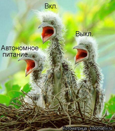 питание. Вкл. Выкл. Автономное... Котоматрица: питание. Вкл. Выкл. Автономное