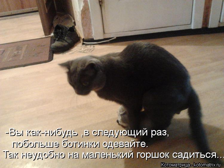 -Вы как-нибудь ,в следующий раз, побольше ботинки одевайте. Так неудобно на маленький горшок садиться... Котоматрица: -Вы как-нибудь ,в следующий раз, побольше ботинки одевайте. Так неудобно на маленький горшок садиться...