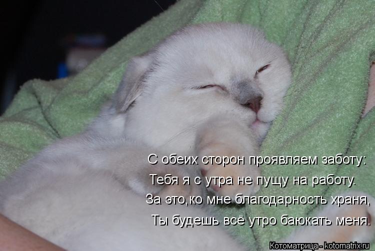 Котоматрица: За это,ко мне благодарность храня, Ты будешь всё утро баюкать меня. С обеих сторон проявляем заботу: Тебя я с утра не пущу на работу.