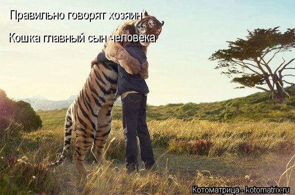 Правильно говорят хозяин Кошка главный сын человека... Котоматрица: Правильно говорят хозяин Кошка главный сын человека