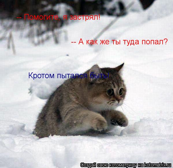 -- Помогите, я застрял! -- А как же ты туда попал? Кротом пытался быть!... Котоматрица: -- Помогите, я застрял! -- А как же ты туда попал? Кротом пытался быть!