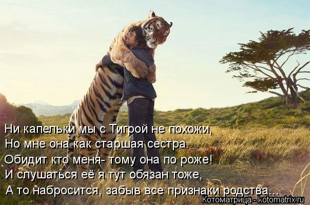 Ни капельки мы с Тигрой не похожи, Но мне она как старшая сестра. Обидит кто меня- тому она по роже! ... Котоматрица: Ни капельки мы с Тигрой не похожи, Но мне она как старшая сестра. Обидит кто меня- тому она по роже! И слушаться её я тут обязан тоже, А то набр