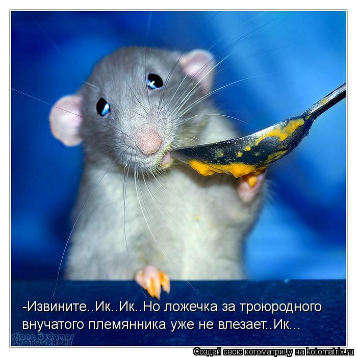 -Извините..Ик..Ик..Но ложечка за троюродного внучатого племянника уже не влезает..Ик...... Котоматрица: -Извините..Ик..Ик..Но ложечка за троюродного внучатого племянника уже не влезает..Ик...