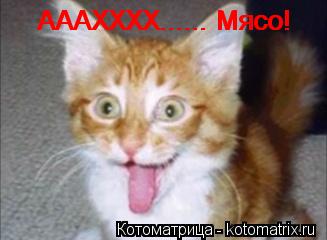 АААХХХХ...... Мясо! АААХХХХ...... Мясо! АААХХХХ...... Мясо!... Котоматрица: АААХХХХ...... Мясо! АААХХХХ...... Мясо! АААХХХХ...... Мясо!