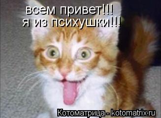 я из психушки!!! всем привет!!!... Котоматрица: я из психушки!!! всем привет!!!