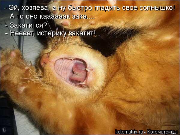 - Эй, хозяева, а ну быстро гладить свое солнышко! А то оно каааааак зака.... - Закатится? - Неееет, и... Котоматрица: - Эй, хозяева, а ну быстро гладить свое солнышко! А то оно каааааак зака.... - Закатится? - Неееет, истерику закатит!