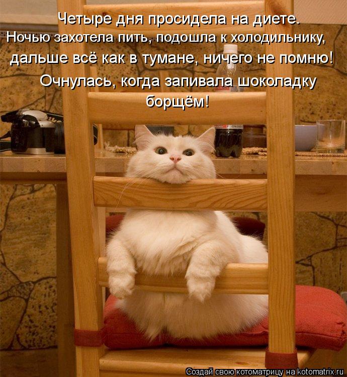Четыре дня просидела на диете. Ночью захотела пить, подошла к холодильнику, дальше всё как в тумане... Котоматрица: Четыре дня просидела на диете. Ночью захотела пить, подошла к холодильнику, дальше всё как в тумане, ничего не помню! Очнулась, когда запив
