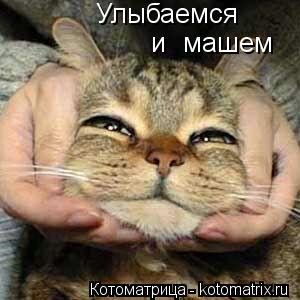 Улыбаемся и машем... Котоматрица: Улыбаемся и машем