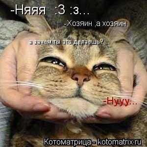 -Няяя :3 :з... -Хозяин ,а хозяин, а зачем ты это делаешь?... -Нууу...... Котоматрица: -Няяя :3 :з... -Хозяин ,а хозяин, а зачем ты это делаешь?... -Нууу...