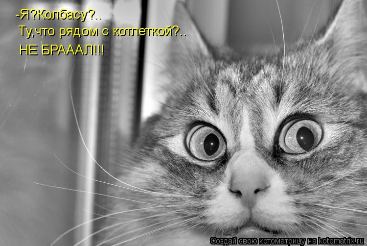 -Я?Колбасу?.. Ту,что рядом с котлеткой?.. НЕ БРАААЛ!!!... Котоматрица: -Я?Колбасу?.. Ту,что рядом с котлеткой?.. НЕ БРАААЛ!!!