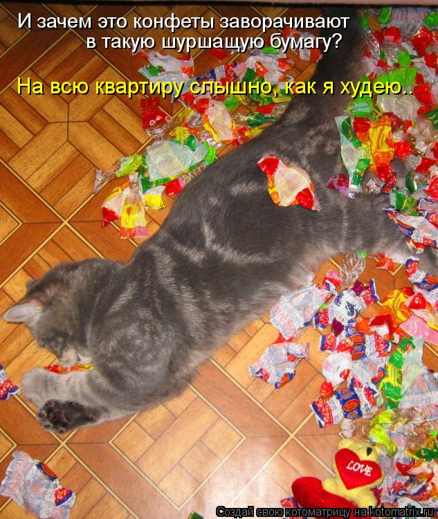 И зачем это конфеты заворачивают в такую шуршащую бумагу? На всю квартиру слышно, как я худею..... Котоматрица: И зачем это конфеты заворачивают в такую шуршащую бумагу? На всю квартиру слышно, как я худею..