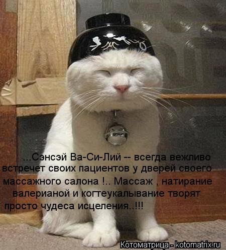 ...Сэнсэй Ва-Си-Лий -- всегда вежливо встречет своих пациентов у дверей своего массажного салона !.. ... Котоматрица: ...Сэнсэй Ва-Си-Лий -- всегда вежливо встречет своих пациентов у дверей своего массажного салона !.. Массаж , натирание валерианой и когтеука
