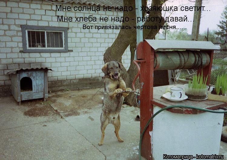 Мне солнца не надо - хозяюшка светит... Мне хлеба не надо - работу давай... Вот привязалась чертова п... Котоматрица: Мне солнца не надо - хозяюшка светит... Мне хлеба не надо - работу давай... Вот привязалась чертова песня......