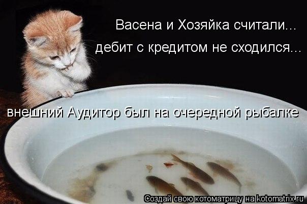 Васена и Хозяйка считали... дебит с кредитом не сходился... внешний Аудитор был на очередной рыбалке... Котоматрица: Васена и Хозяйка считали... дебит с кредитом не сходился... внешний Аудитор был на очередной рыбалке