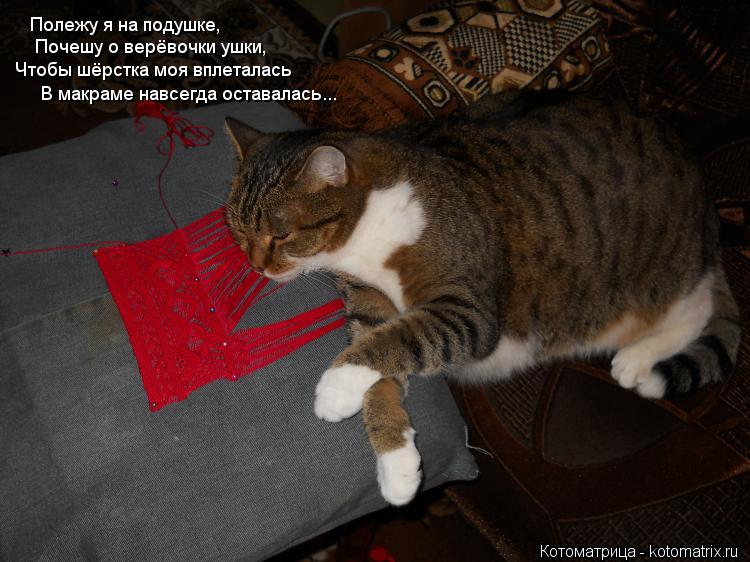 Котоматрица: Полежу я на подушке, Почешу о верёвочки ушки, Чтобы шёрстка моя вплеталась В макраме навсегда оставалась...