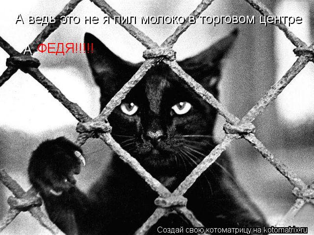 А ведь это не я пил молоко в торговом центре А ФЕДЯ!!!!!... Котоматрица: А ведь это не я пил молоко в торговом центре А ФЕДЯ!!!!!