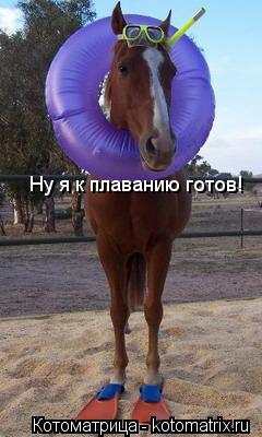Ну я к плаванию готов!... Котоматрица: Ну я к плаванию готов!