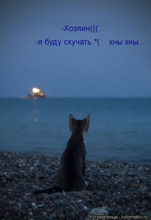 -Хозяин(((.... -я буду скучать *( хны хны...... Котоматрица: -Хозяин(((.... -я буду скучать *( хны хны...