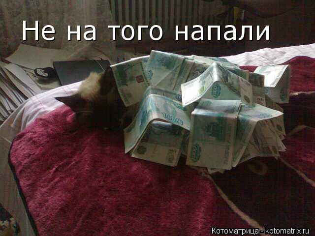 Не на того напали... Котоматрица: Не на того напали