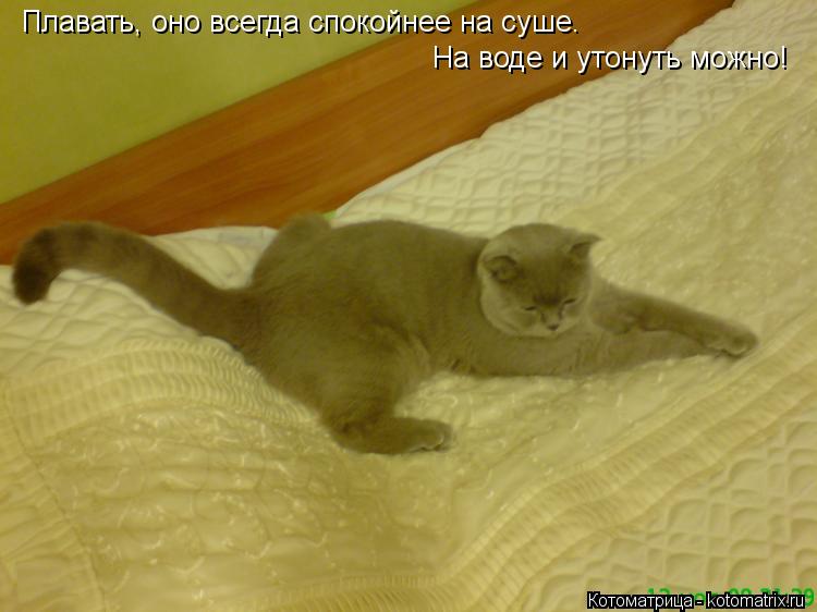 Плавать, оно всегда спокойнее на суше. На воде и утонуть можно!... Котоматрица: Плавать, оно всегда спокойнее на суше. На воде и утонуть можно!
