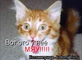 Вот это у неё МЯУ!!!!!... Котоматрица: Вот это у неё МЯУ!!!!!