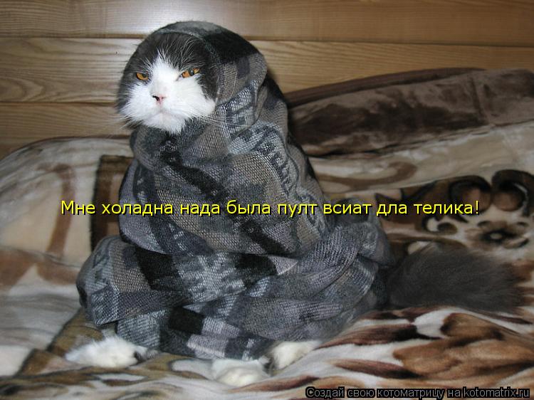Мне холадна нада была пулт всиат дла телика!... Котоматрица: Мне холадна нада была пулт всиат дла телика!