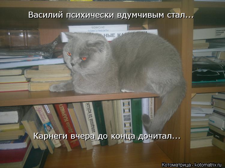 Василий психически вдумчивым стал... Карнеги вчера до конца дочитал...... Котоматрица: Василий психически вдумчивым стал... Карнеги вчера до конца дочитал...