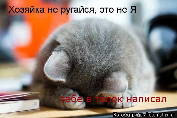 Котоматрица: Хозяйка не ругайся, это не Я тебе в тапок написал