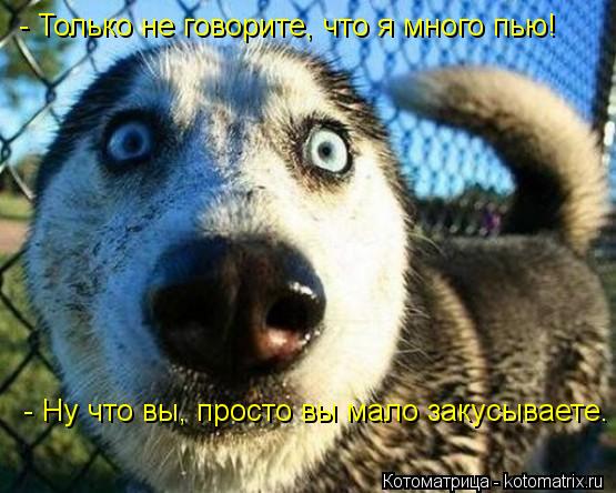 По - Только не говорите, что я много пью! - Ну что вы, просто вы мало закусываете.... Котоматрица: По - Только не говорите, что я много пью! - Ну что вы, просто вы мало закусываете.